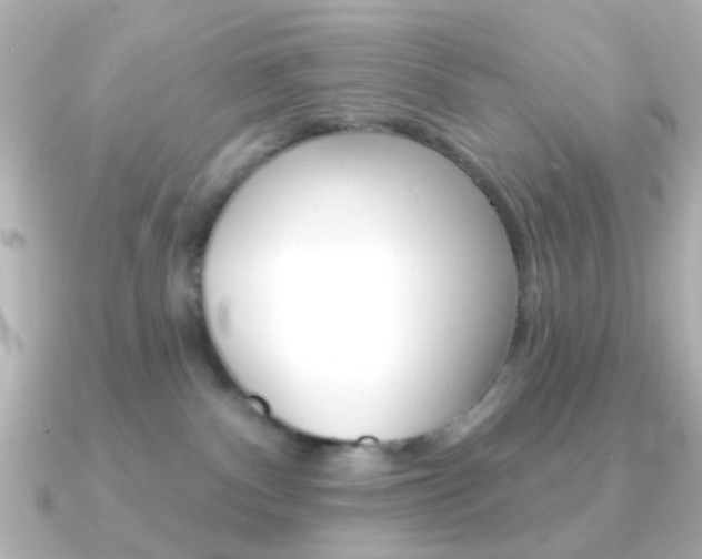 X0000091370140200708101121