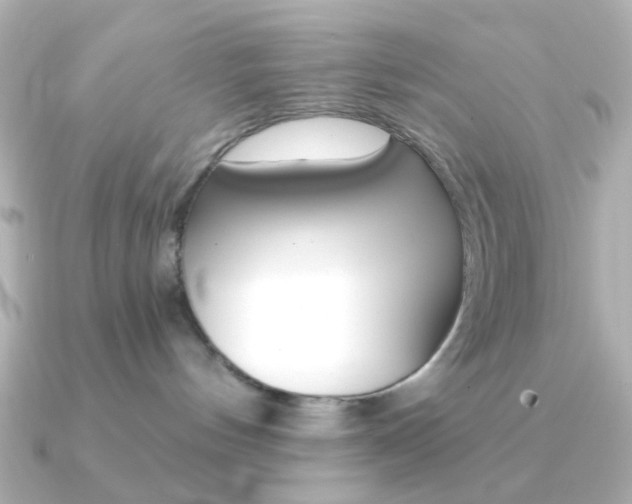 X0000091370144200708101121