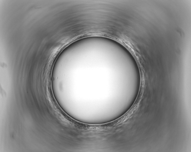 X0000091370145200708101120