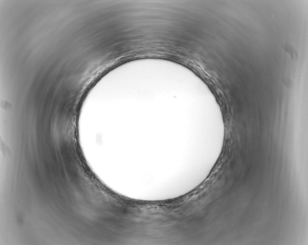 X0000091370146200708101120