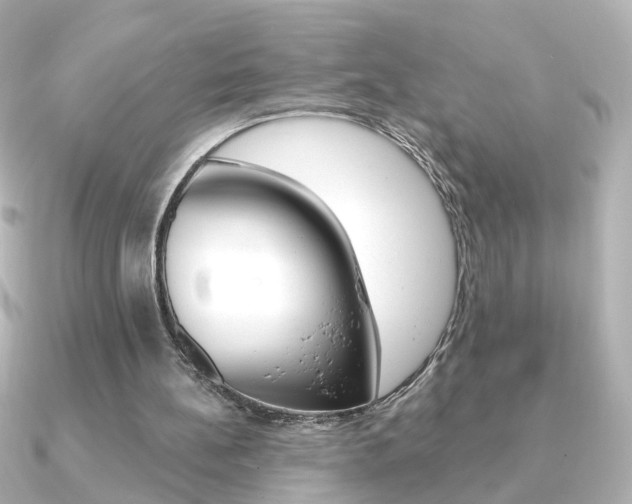 X0000091370148200708101120