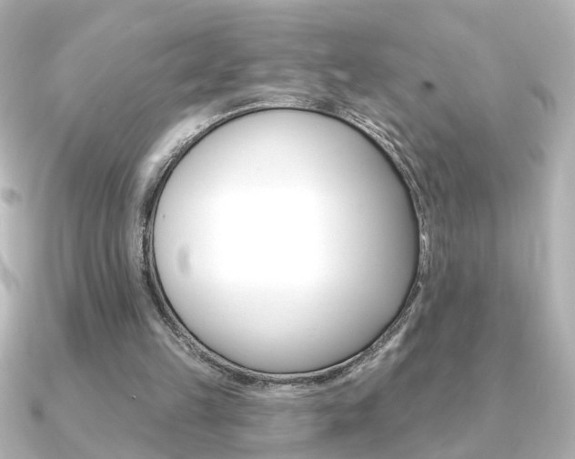 X0000091370149200708101120