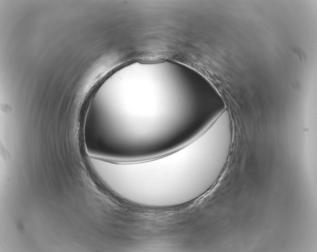 X0000091370150200708101120