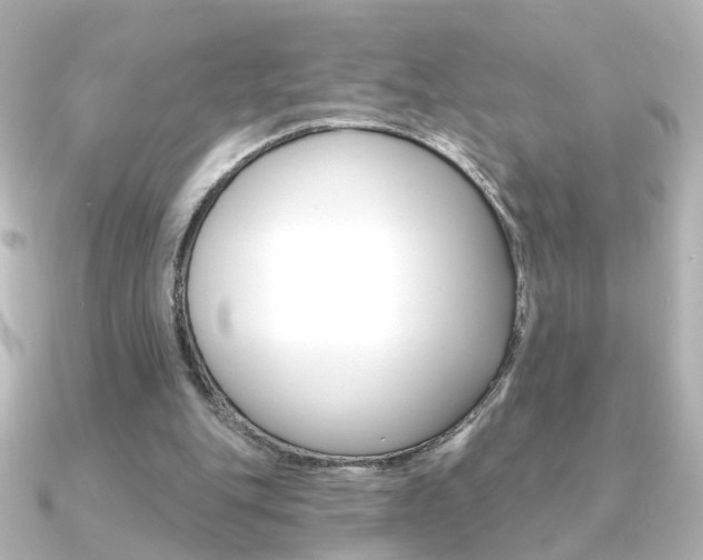 X0000091370151200708101120