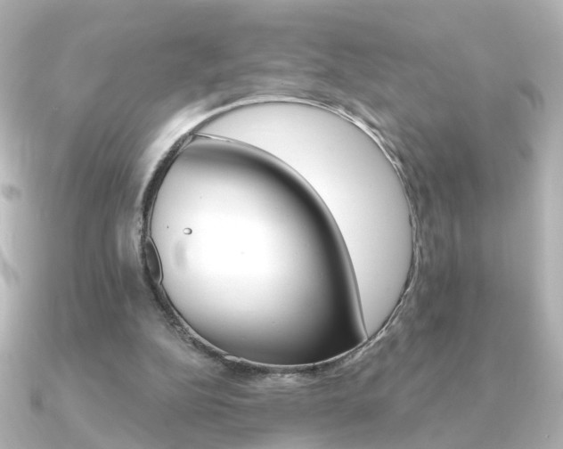 X0000091370152200708101121