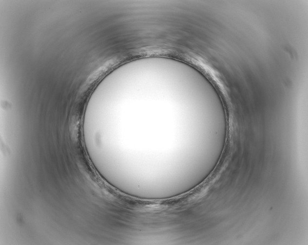 X0000091370153200708101121