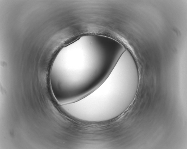 X0000091370154200708101121