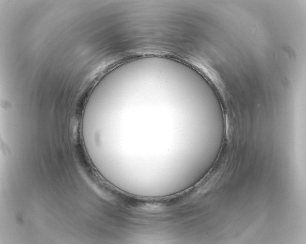 X0000091370157200708101121