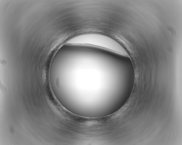 X0000091370158200708101121