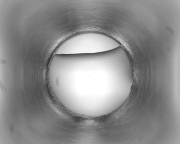 X0000091370159200708101121