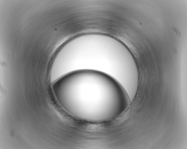 X0000091370160200708101121