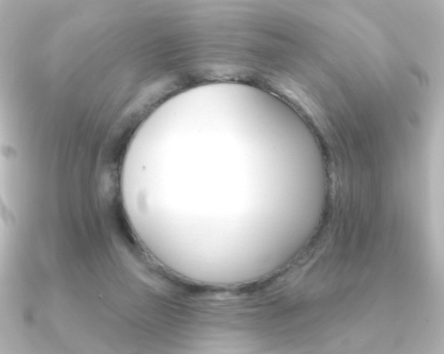 X0000091370165200708101121