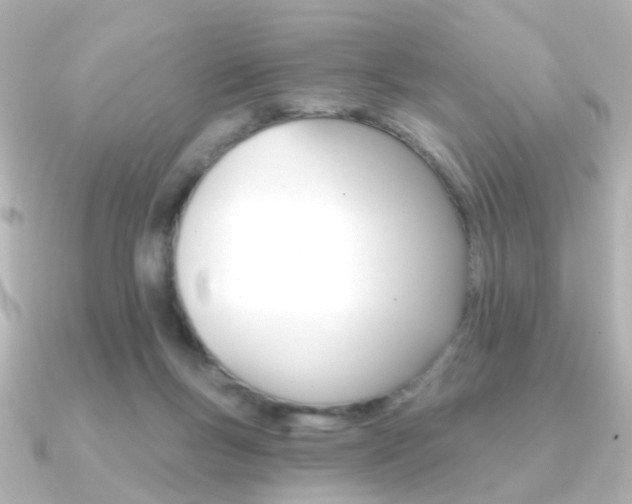 X0000091370167200708101121