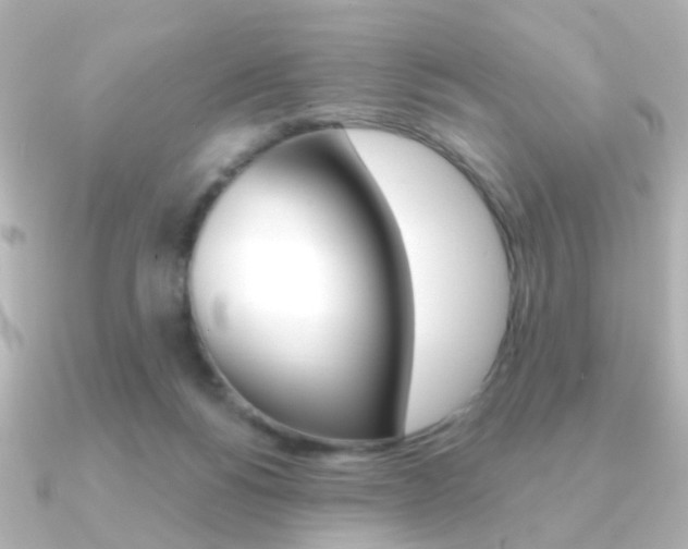 X0000091370168200708101121