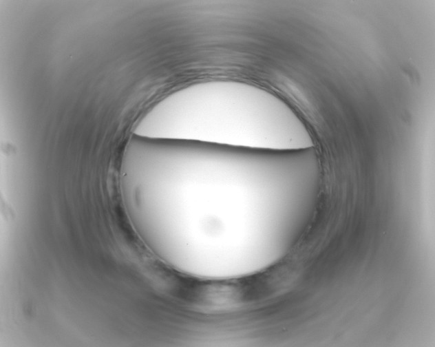 X0000091370169200708101121