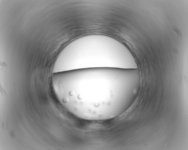 X0000091370171200708101121