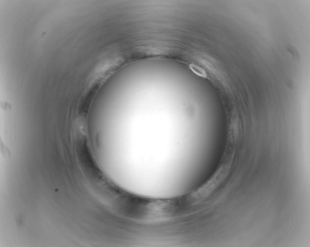 X0000091370172200708101121