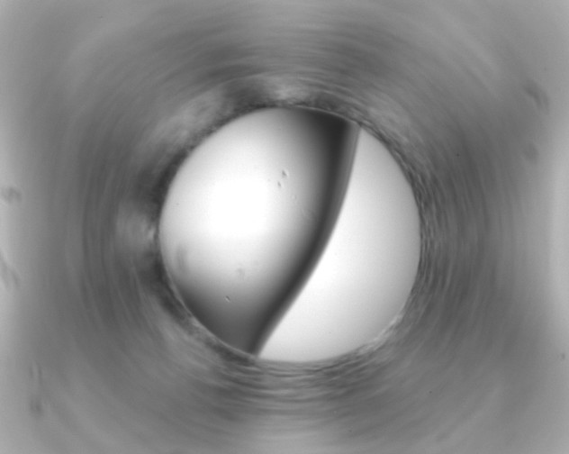 X0000091370176200708101121