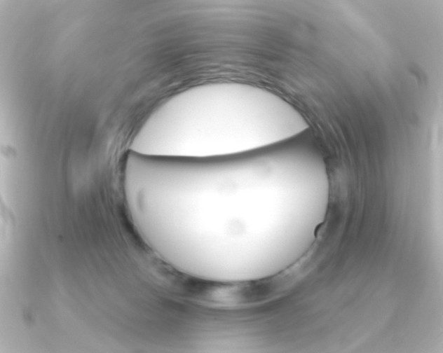 X0000091370178200708101121