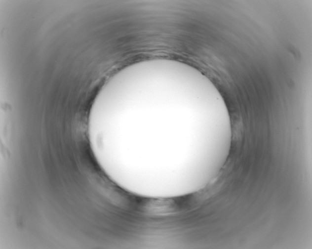 X0000091370179200708101121