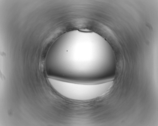 X0000091370180200708101121