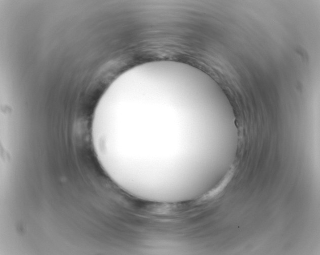 X0000091370182200708101121