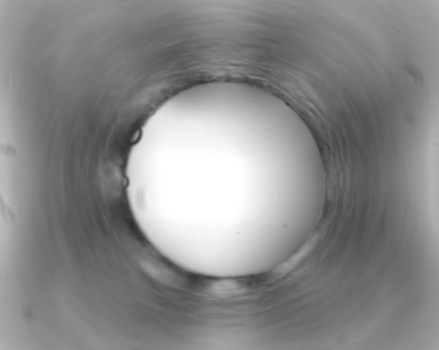 X0000091370183200708101121