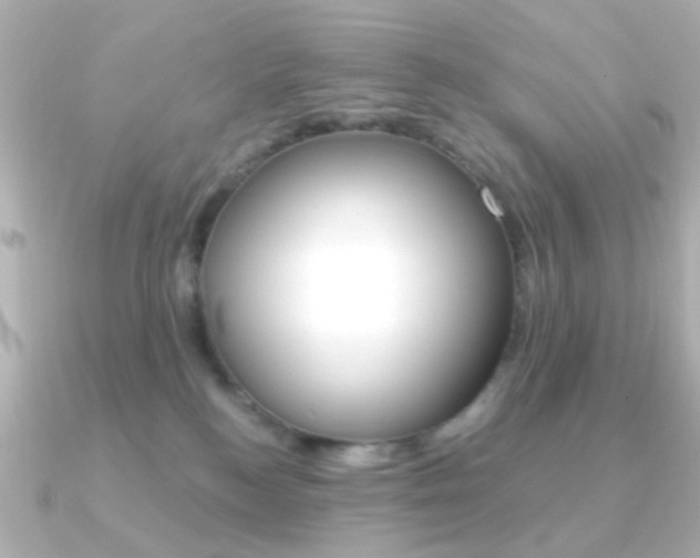 X0000091370184200708101121