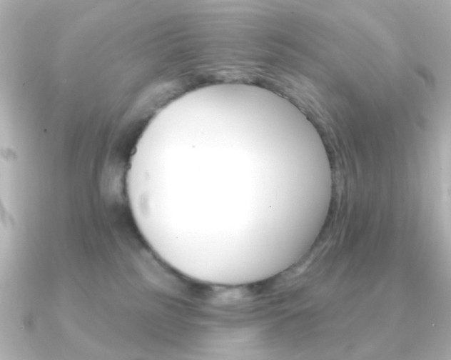 X0000091370185200708101121