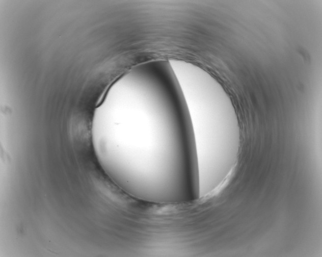 X0000091370186200708101121