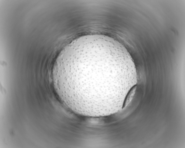 X0000091370187200708101121