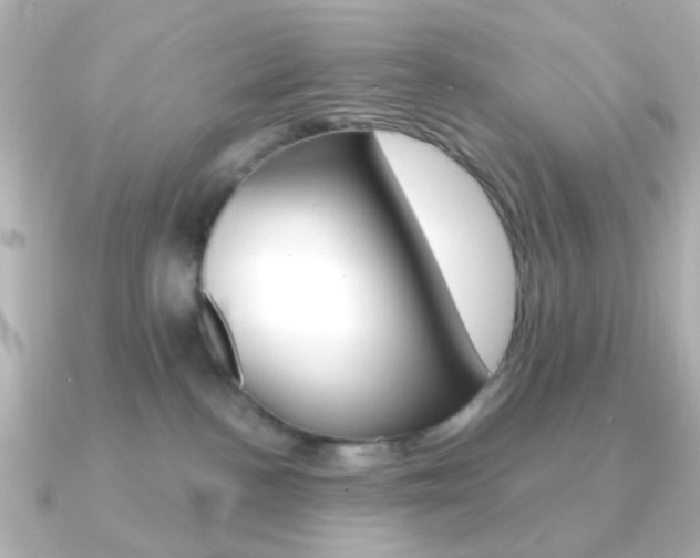 X0000091370188200708101121