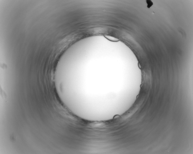 X0000091370189200708101121