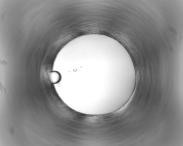 X0000091370190200708101121