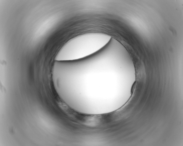 X0000091370191200708101121