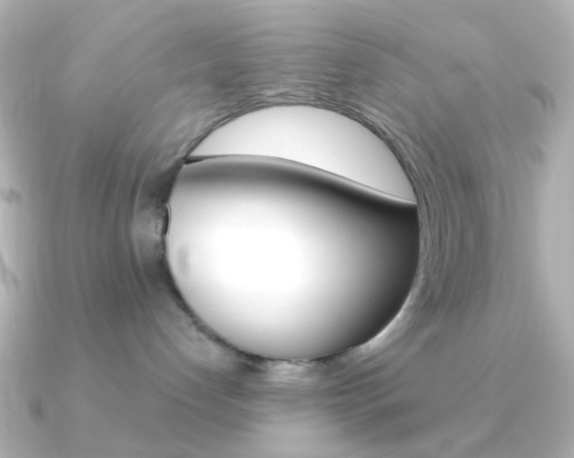 X0000091370192200708101121