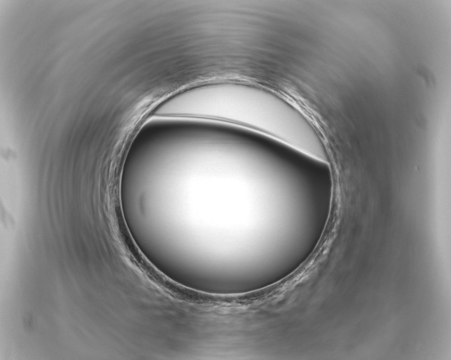 X0000091370193200708101120