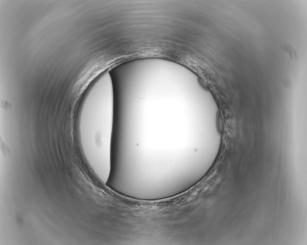 X0000091370194200708101120