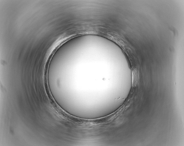 X0000091370195200708101120