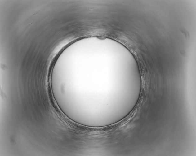 X0000091370196200708101120