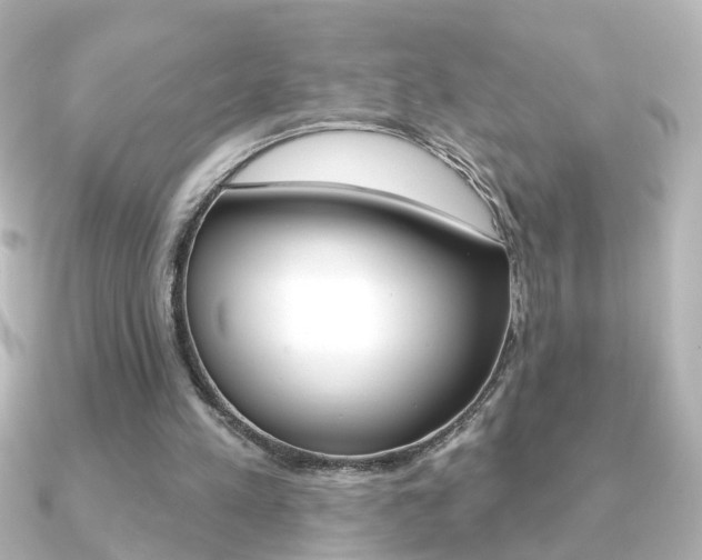 X0000091370197200708101120