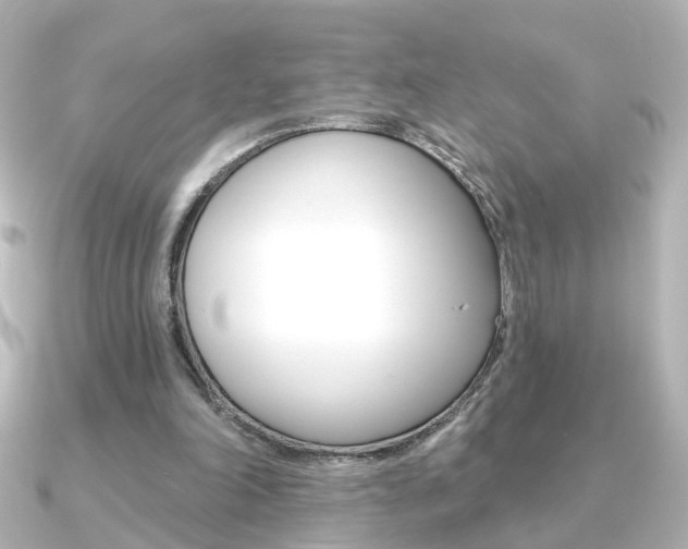 X0000091370198200708101120