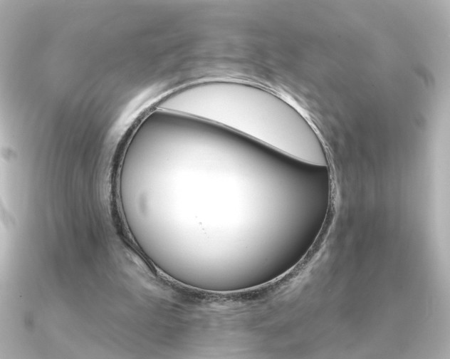 X0000091370199200708101120