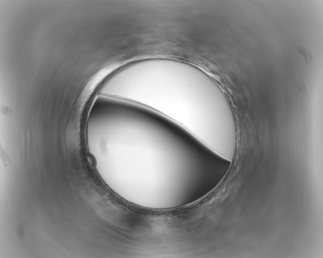 X0000091370200200708101120