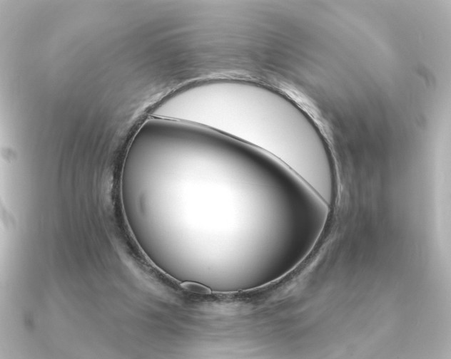 X0000091370201200708101120