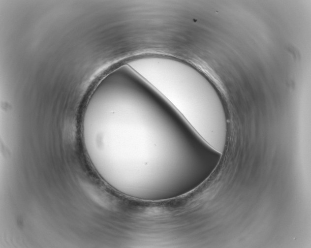 X0000091370204200708101120