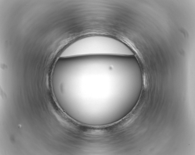 X0000091370205200708101120