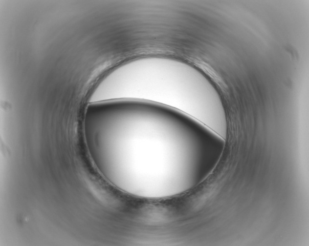 X0000091370207200708101120