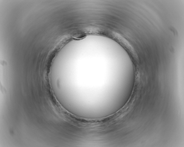 X0000091370209200708101120