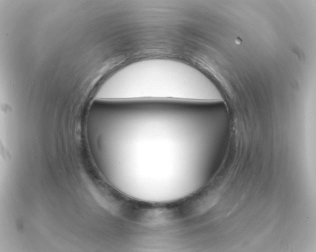 X0000091370212200708101120